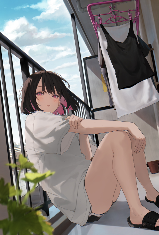 动漫壁纸 | 星穹铁道 流萤 遐蝶 缇宝 绝区零 星见雅 玲 原神 胡桃 芙宁娜 插画美图推荐 - 二次元星球