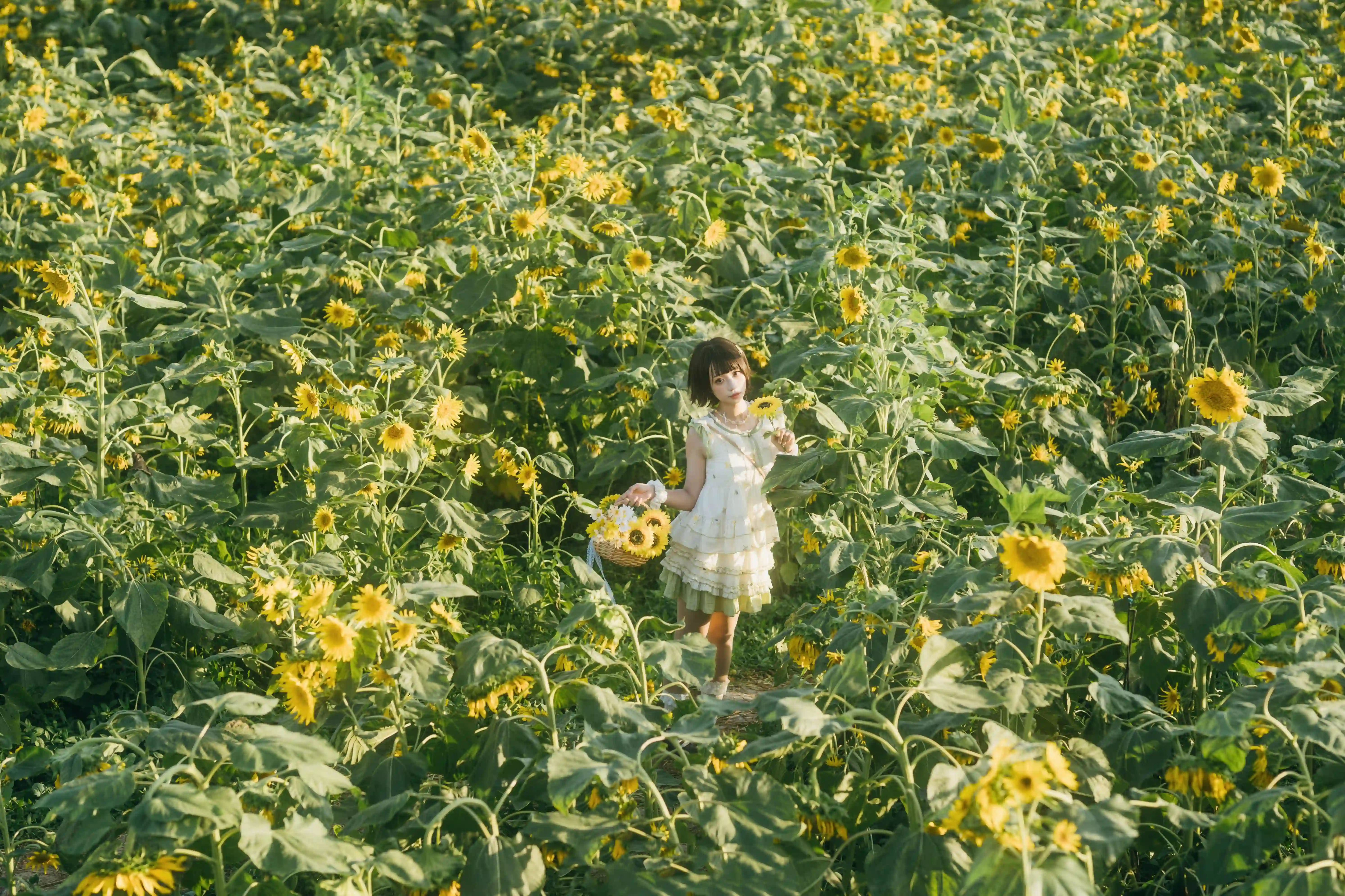 83f15872e020250625223459