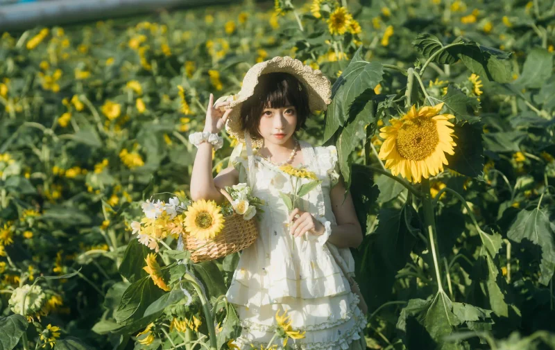 向日葵之约-提篮少女的浪漫 - 二次元星球