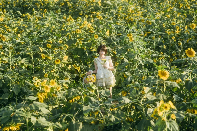 向日葵之约-提篮少女的浪漫 - 二次元星球