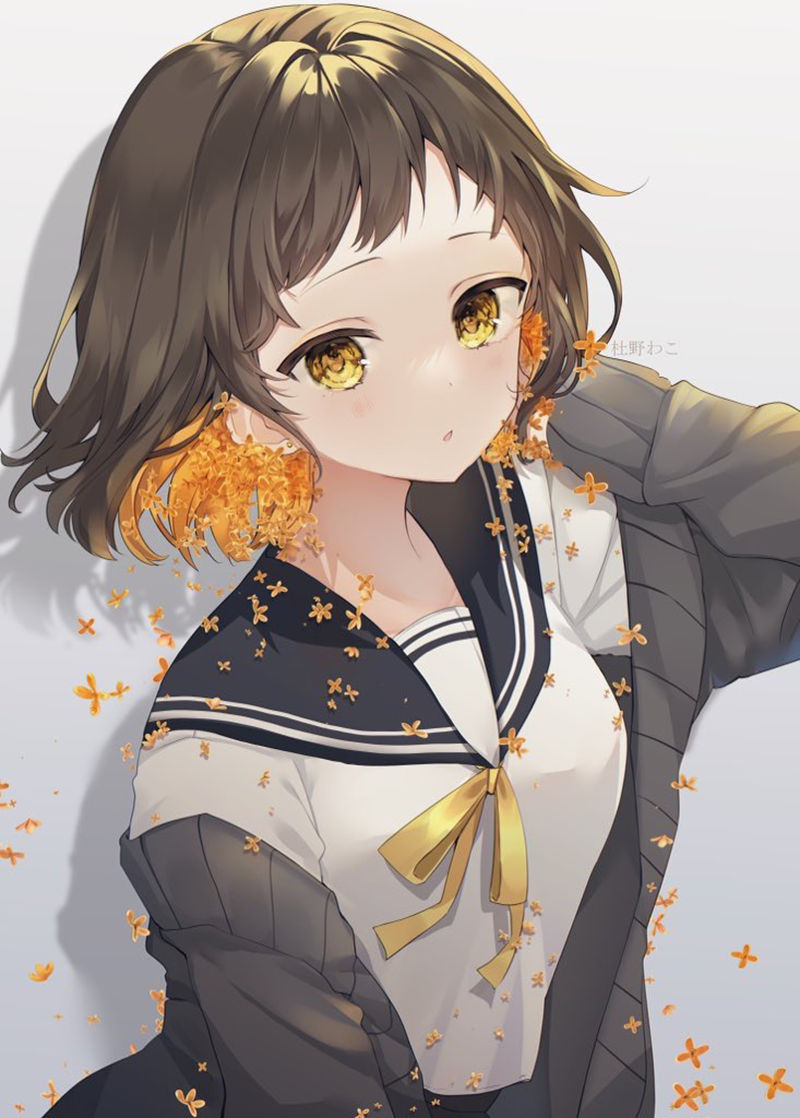 图片[10] - 画师杜野わこ(wako_morino_0)的pixiv+Bluesky+twitter(x)图片包 - 二次元星球