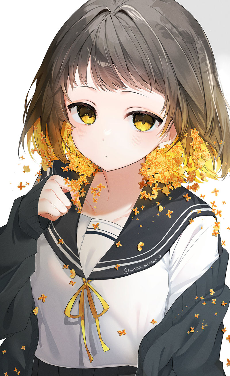 图片[13] - 画师杜野わこ(wako_morino_0)的pixiv+Bluesky+twitter(x)图片包 - 二次元星球