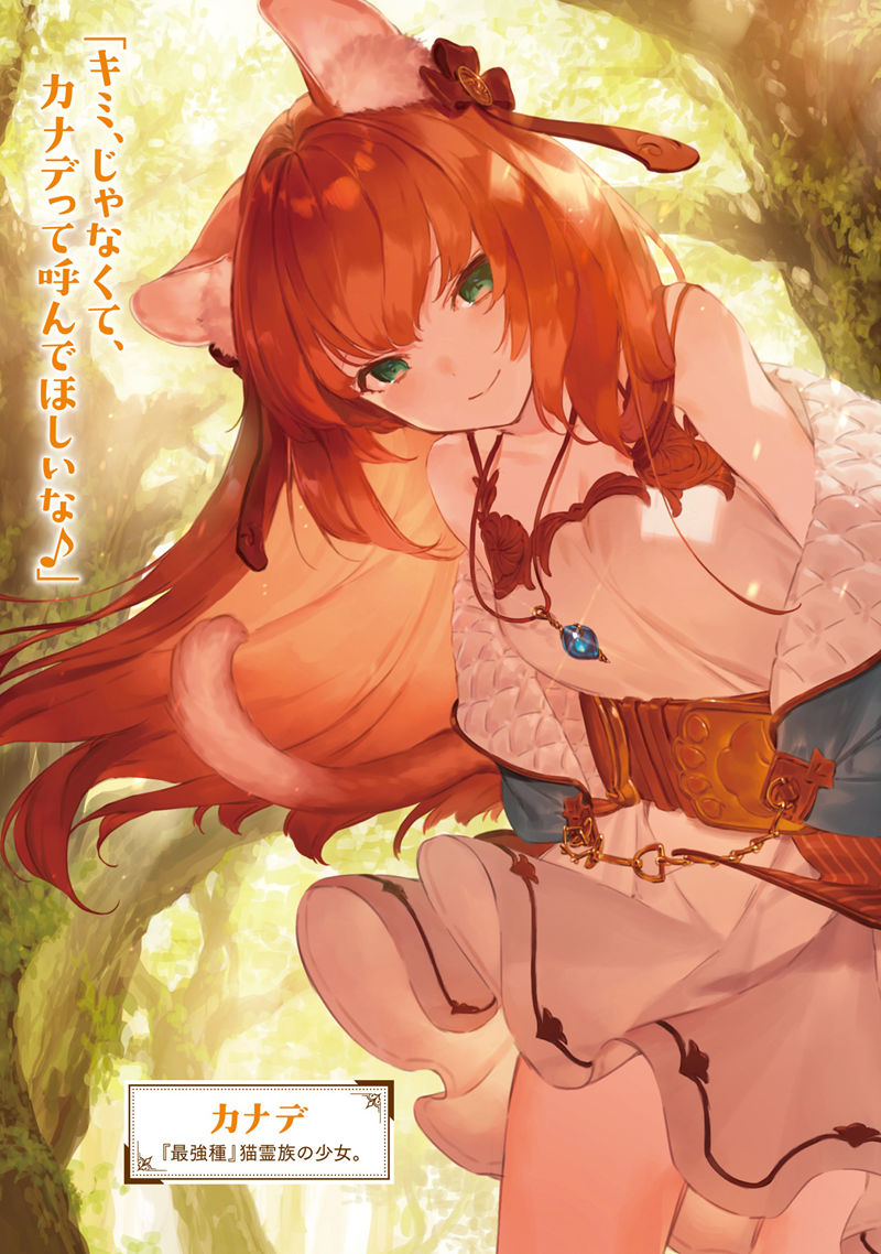 图片[1] - 被开除出勇者队伍的驯兽使，邂逅了最强种猫耳少女 高清图片CG包 - 二次元星球