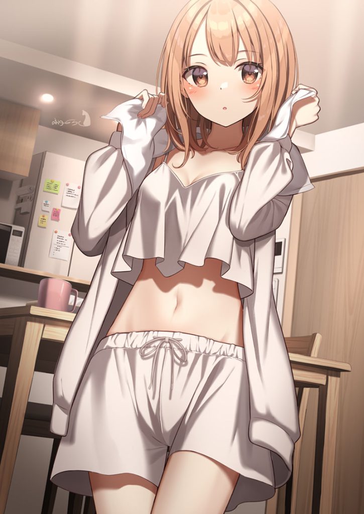 图片[2] - [ふゆのら(huyunora)]Pixiv+推特图片包[98P] - 二次元星球