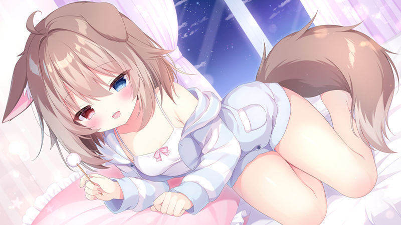 图片[17] - [画师推荐][ねこぼしゆき(nekoboshi_yuki)]Pixiv+推特图片包[72P] - 二次元星球