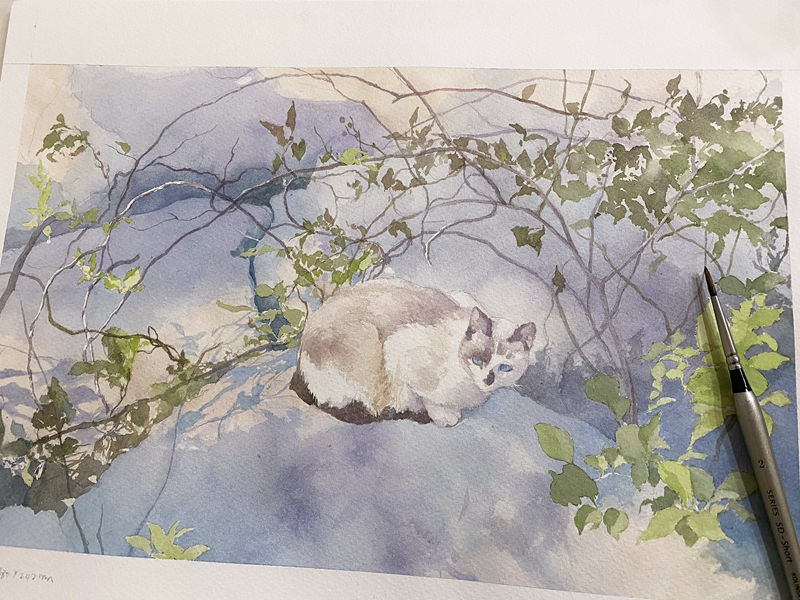 图片[14] - [画师推荐][豊永凌平(tr_watercolor)]推特图片包[304P] - 二次元星球