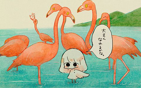 [ぱんきちあんこ(oe___ank)]Pixiv+推特图片包[659P] - 二次元星球