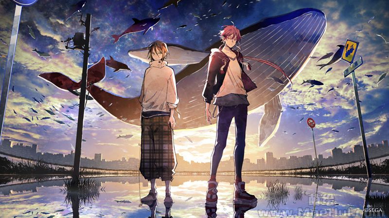图片[13] - [野崎つばた(TsubaTako)]Pixiv+推特图片包[730P] - 二次元星球