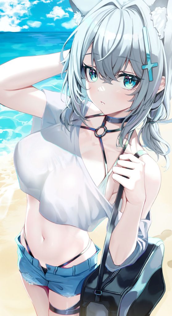 图片[12] - [Ha_en(Ha_en__)]Pixiv+推特图片包[107P] - 二次元星球