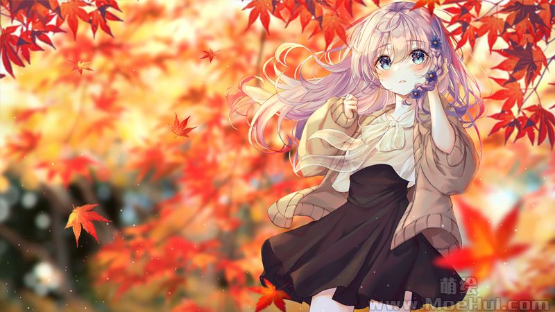 图片[13] - [삐돌(bbeedol)]Pixiv+推特图片包[212P] - 二次元星球