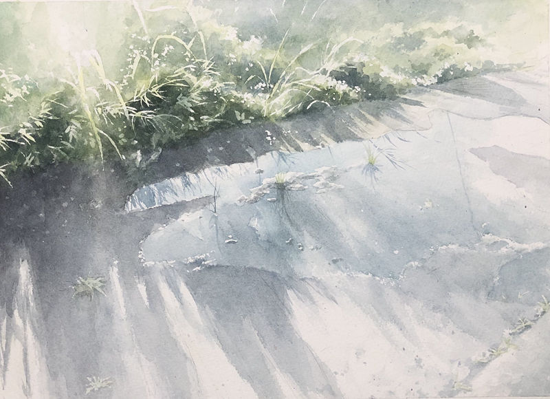 图片[3] - [画师推荐][豊永凌平(tr_watercolor)]推特图片包[304P] - 二次元星球