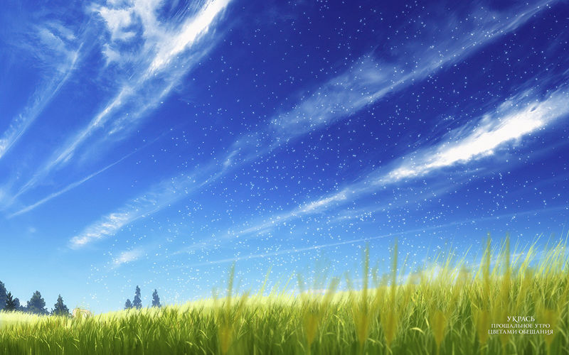 图片[4] - 朝花夕誓 图片CG包[92P] - 二次元星球