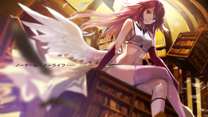 图片[7] - NO GAME NO LIFE 游戏人生 图片CG包[1363P] - 二次元星球