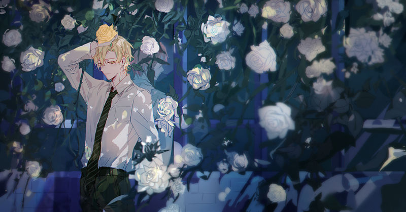 图片[9] - [画师推荐][KANOSE(zhujichuzi)]Pixiv+推特图片包[509P] - 二次元星球