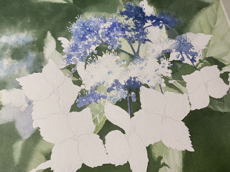 图片[11] - [画师推荐][豊永凌平(tr_watercolor)]推特图片包[304P] - 二次元星球