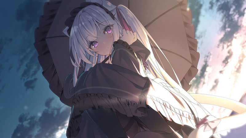 图片[2] - [ようづき(Shiro_Youduki)]Pixiv+推特图片包[640P] - 二次元星球