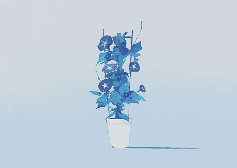 图片[17] - [ミツ蜂(roundbee08)]Pixiv+bluesky+instagram+tumblr+推特图片包[698P] - 二次元星球