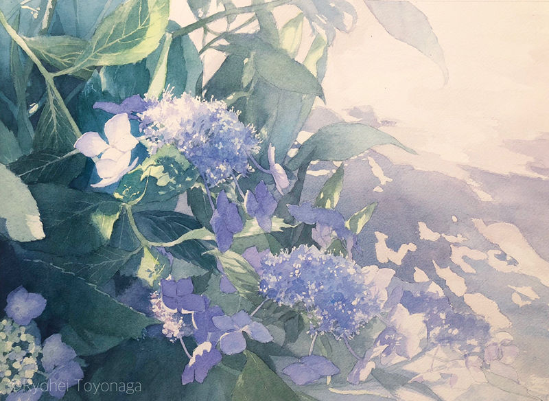 图片[8] - [画师推荐][豊永凌平(tr_watercolor)]推特图片包[304P] - 二次元星球