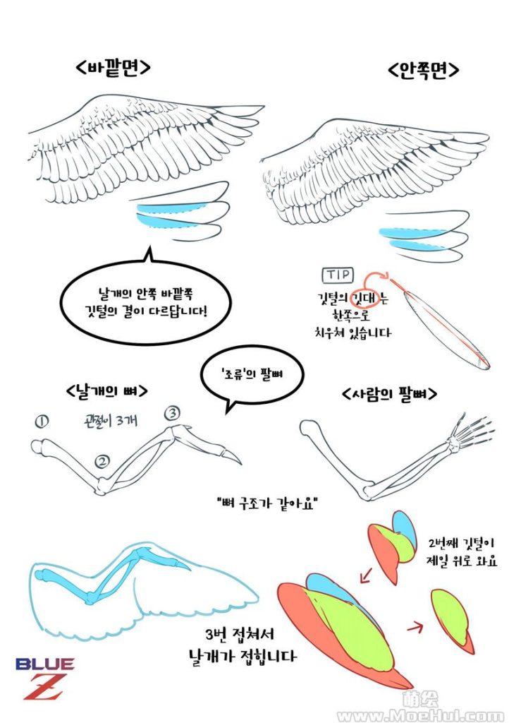 图片[4] - [블루젯(bluez)]推特图片包[1283P] - 二次元星球